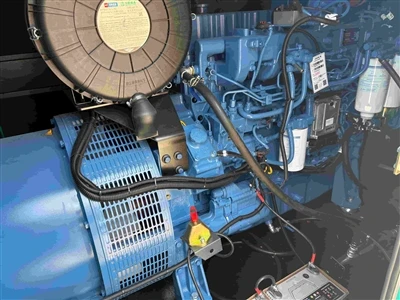 Dieselgenerator starter normalt, men ingen effekt – årsager forklaret